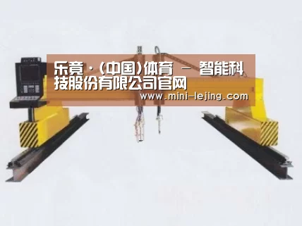 产品名称十九