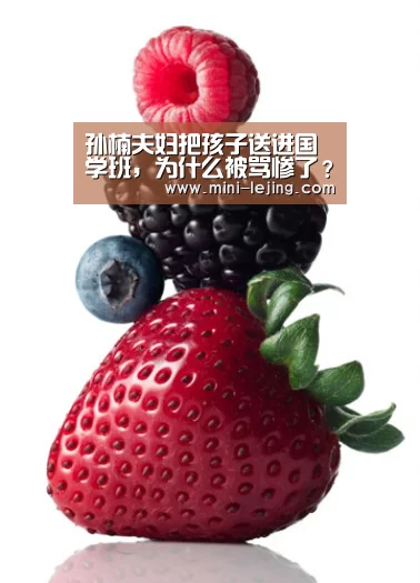 孙楠夫妇把孩子送进国学班,为什么被骂惨了?|乐竟体育(图3) 乐竟体育