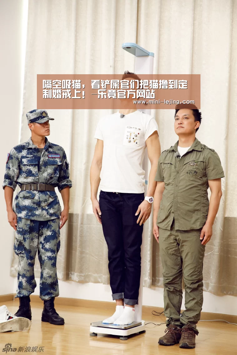 隔空吸猫,看铲屎官们把猫撸到定制婚戒上!-乐竟官方网站(图4) 乐竟官方网站