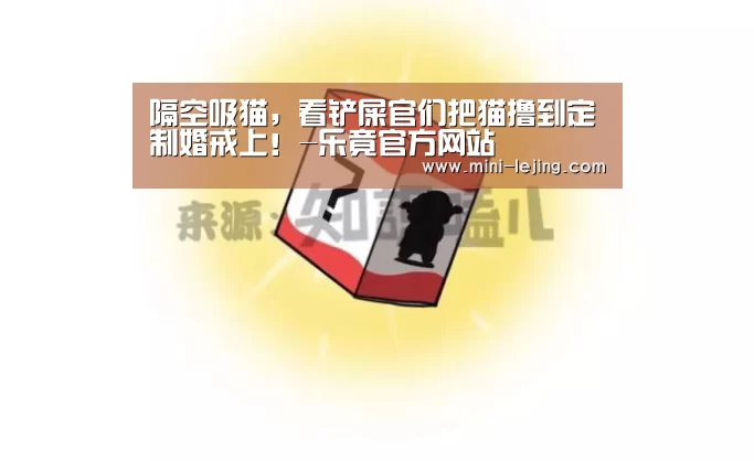 隔空吸猫,看铲屎官们把猫撸到定制婚戒上!-乐竟官方网站(图3) 乐竟