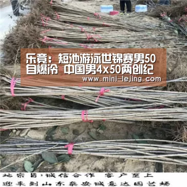 乐竟：短池游泳世锦赛男50自爆冷 中国男4x50两创纪录