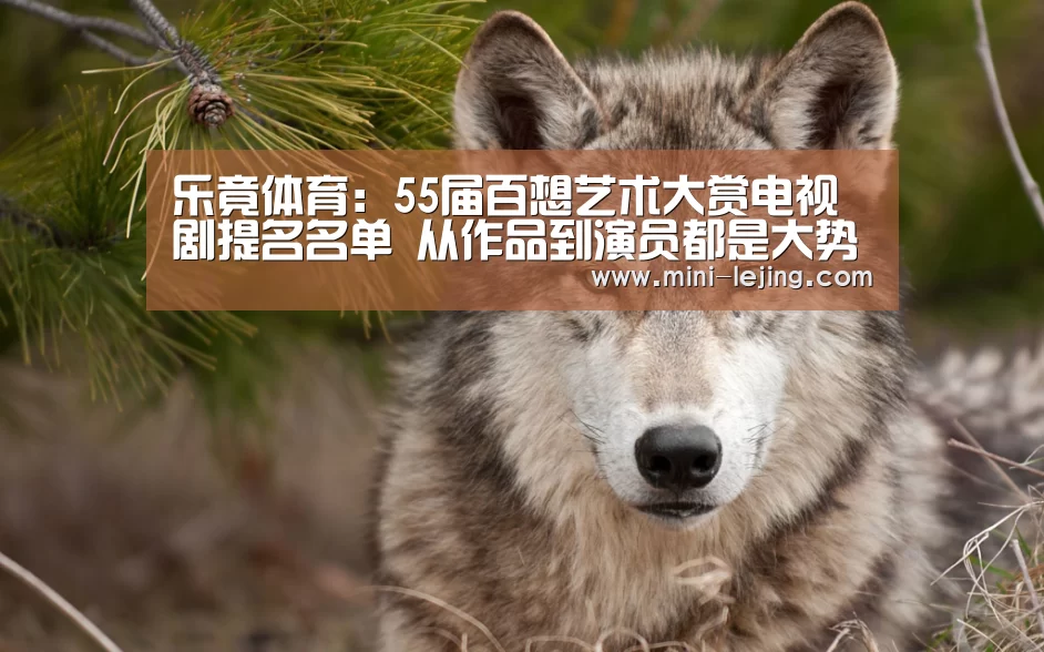乐竟体育:55届百想艺术大赏电视剧提名名单 从作品到演员都是大势竞争激烈(图3) 乐竟官方网站