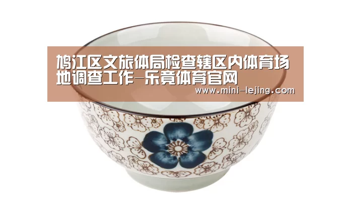 鸠江区文旅体局检查辖区内体育场地调查工作-乐竟体育官网(图4) 乐竟体育