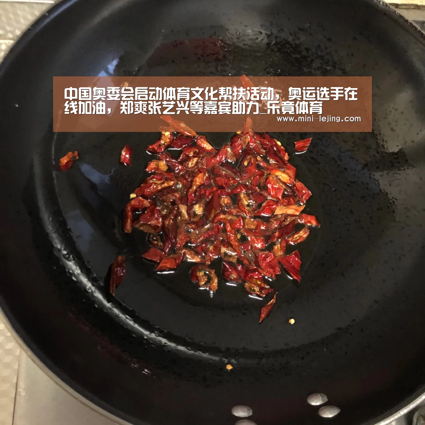 中国奥委会启动体育文化帮扶活动,奥运选手在线加油,郑爽张艺兴等嘉宾助力_乐竟体育(图2) 乐竟官方网站