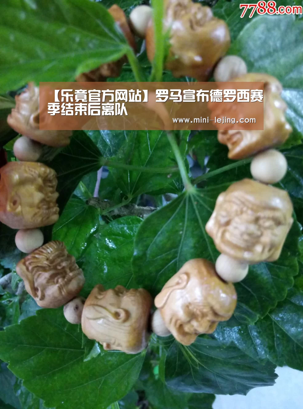 乐竟体育官网