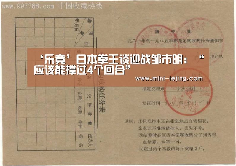 ‘乐竟’日本拳王谈迎战邹市明：“应该能撑过4个回合”
