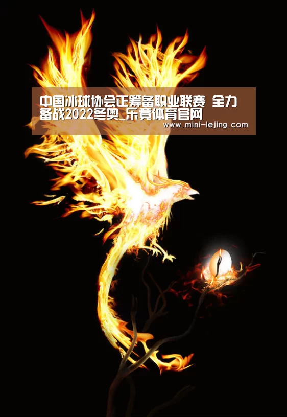 中国冰球协会正筹备职业联赛 全力备战2022冬奥_乐竟体育官网(图2) 乐竟